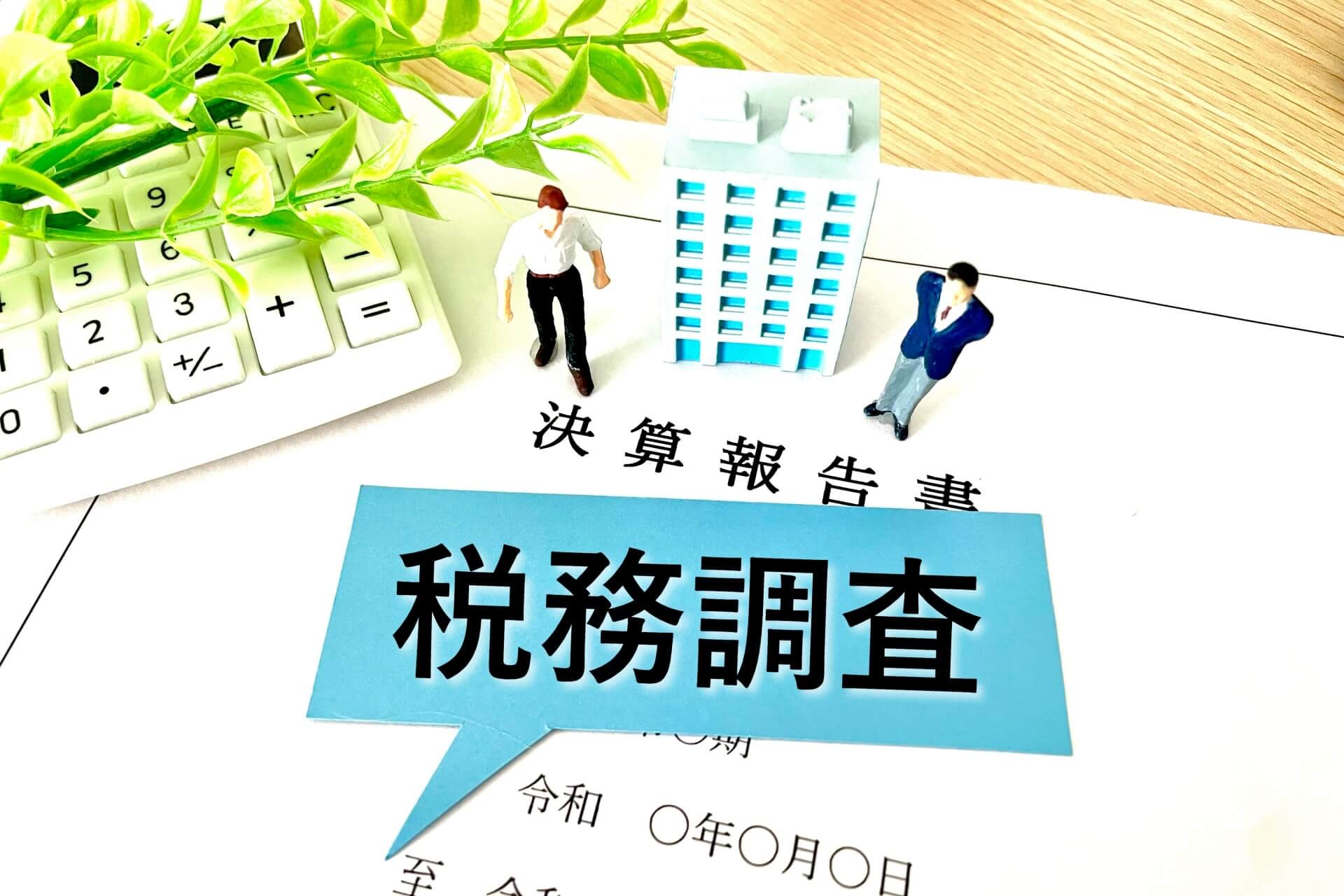 税務調査の強い味方としての実績